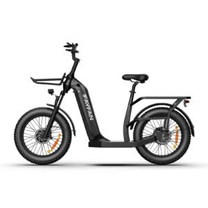 iFAYFAN C-20 Dual Motor Fat Tire Electric Bike
