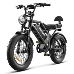 IFAYFAN FG-20 All-Terrain Fat Tire Ebike