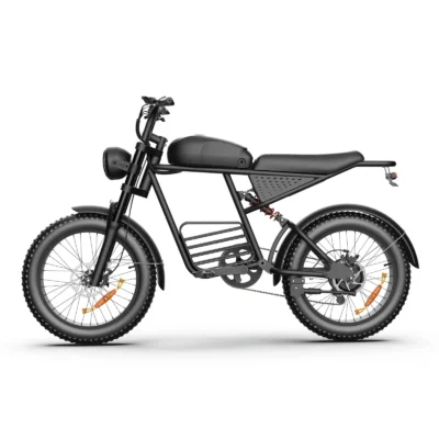 iFAYFAN FX-30 Affordable Fat Tire Electric Bike（Dual drive）