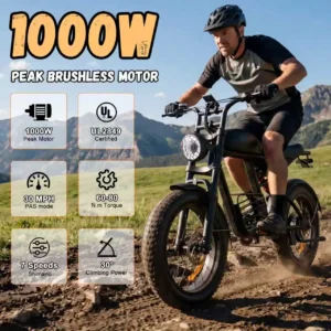 IFAYFAN FX-10 All-Terrain E-Bikes