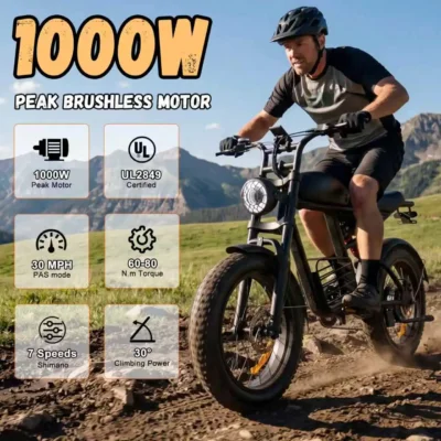 IFAYFAN FX-10 All-Terrain E-Bikes