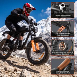 IFAYFAN FX-20 Full-suspension electric mountain bike